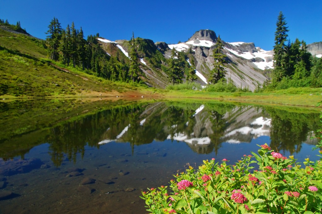 Visit a Nature Loverâ€™s Dream with a Travel Nurse Job in Washington