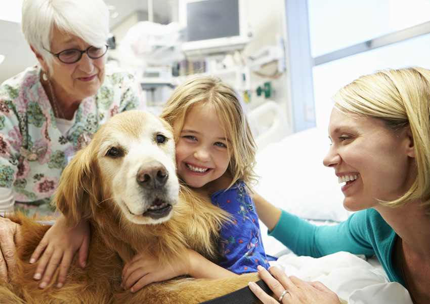 travel nursing with a family and pets