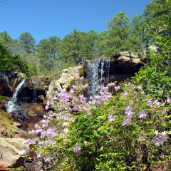 Travel Nurse Jobs in Arkansas: “The Land of Opportunity”