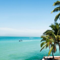 Your Guide to Travel Nursing in Florida