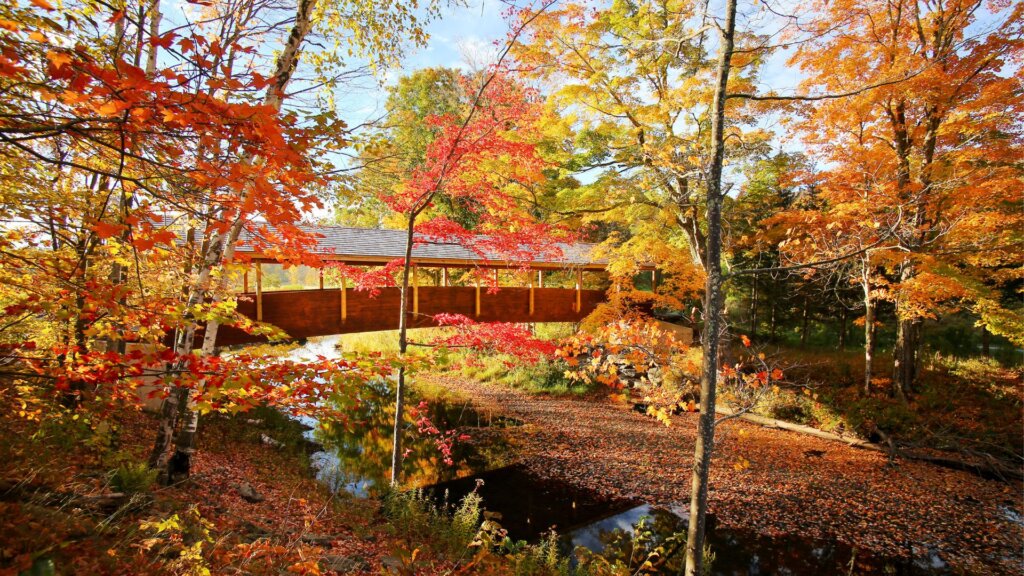 Upstate New York