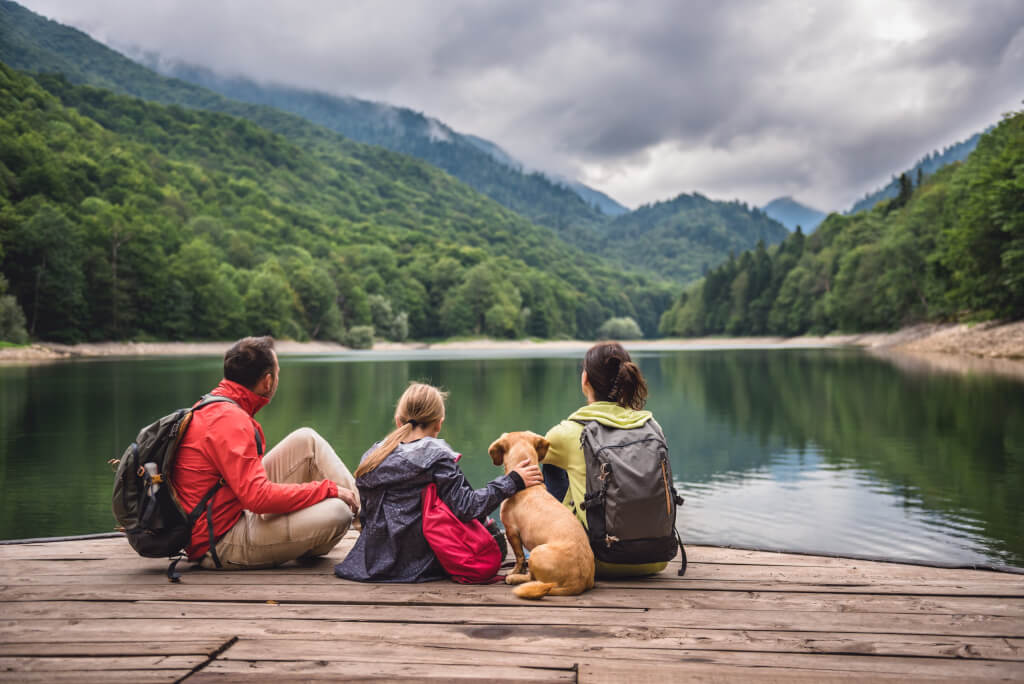 travel nursing with a family and a dog