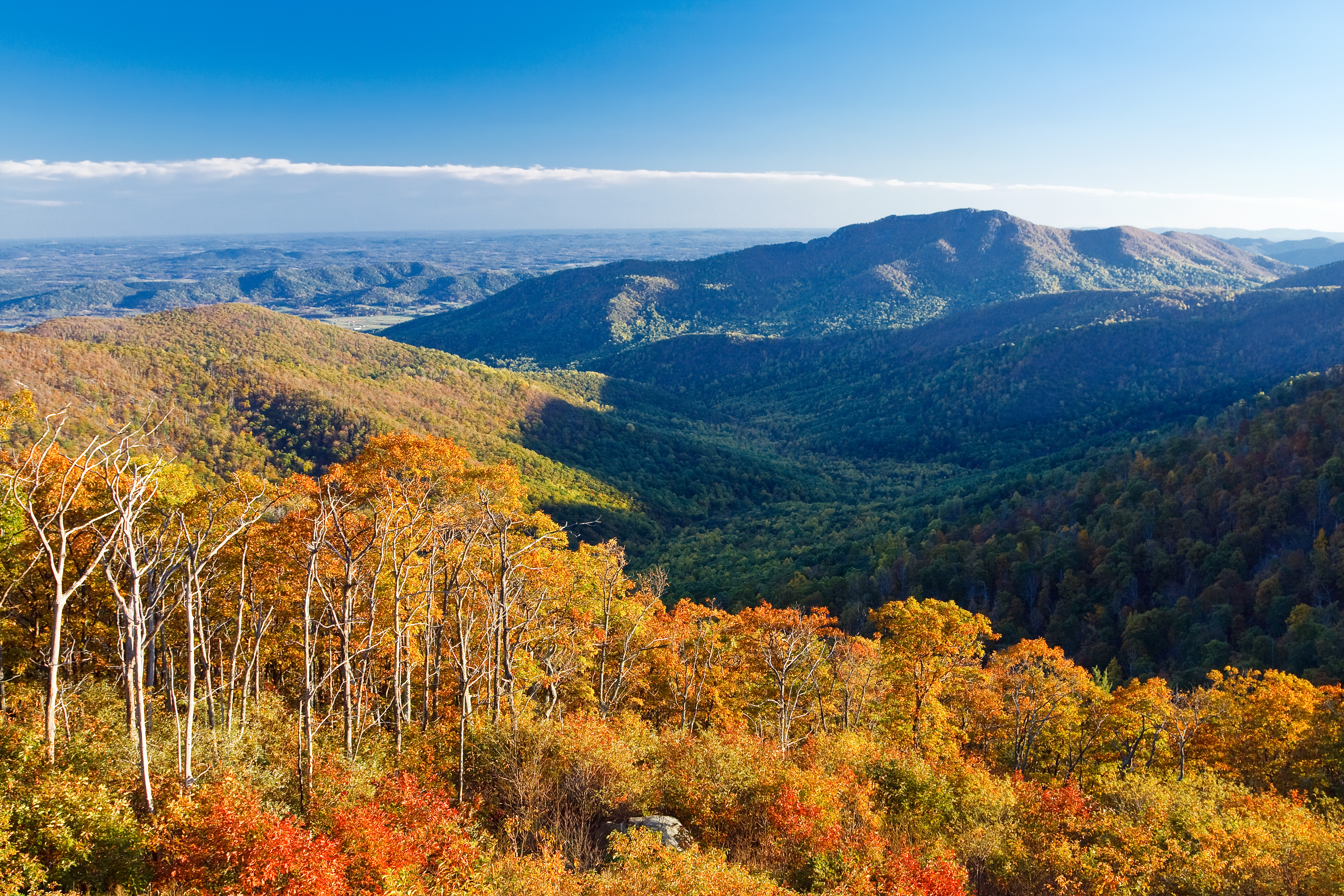 Travel Nursing in Vivacious Virginia