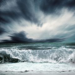 Silver Tsunami: Will Your Facility Sink or Swim?