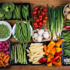 The Importance of a Healthy Diet on the Road