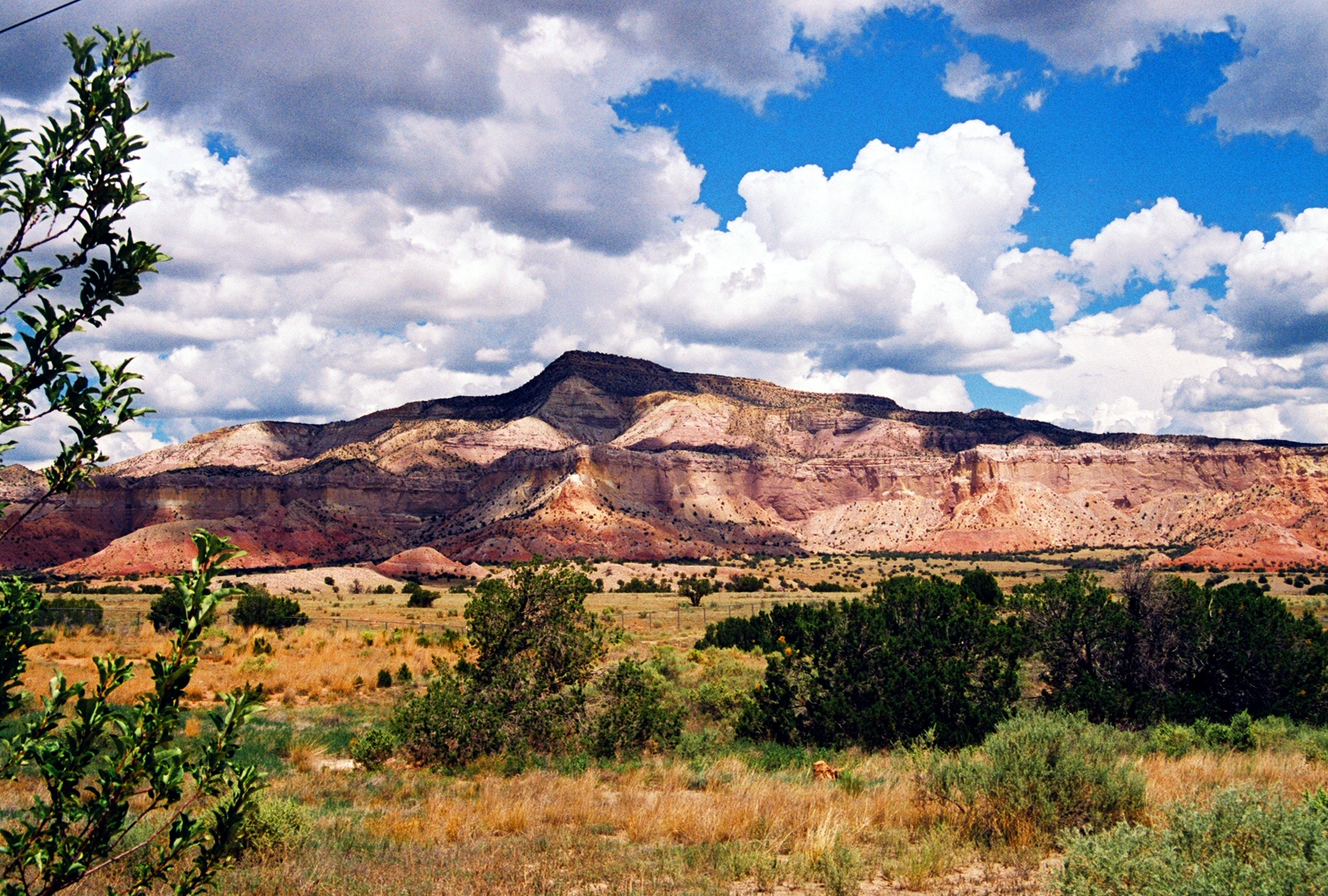 Travel Nurses Visit New Mexico