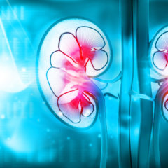 Pros and Cons of Dialysis Nursing: World Kidney Day