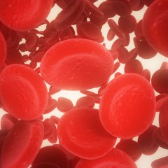 Sepsis Awareness for Nurses | The Basics
