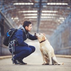Travel-Friendly Pets for Nurses | Which Are the Best?