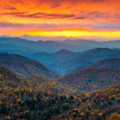 Five Reasons Why You’ll Love Travel Nurse Jobs in North Carolina