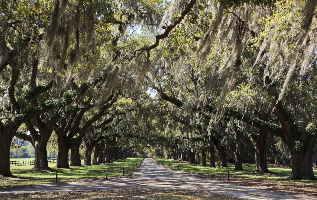 travel nurse jobs in south carolina